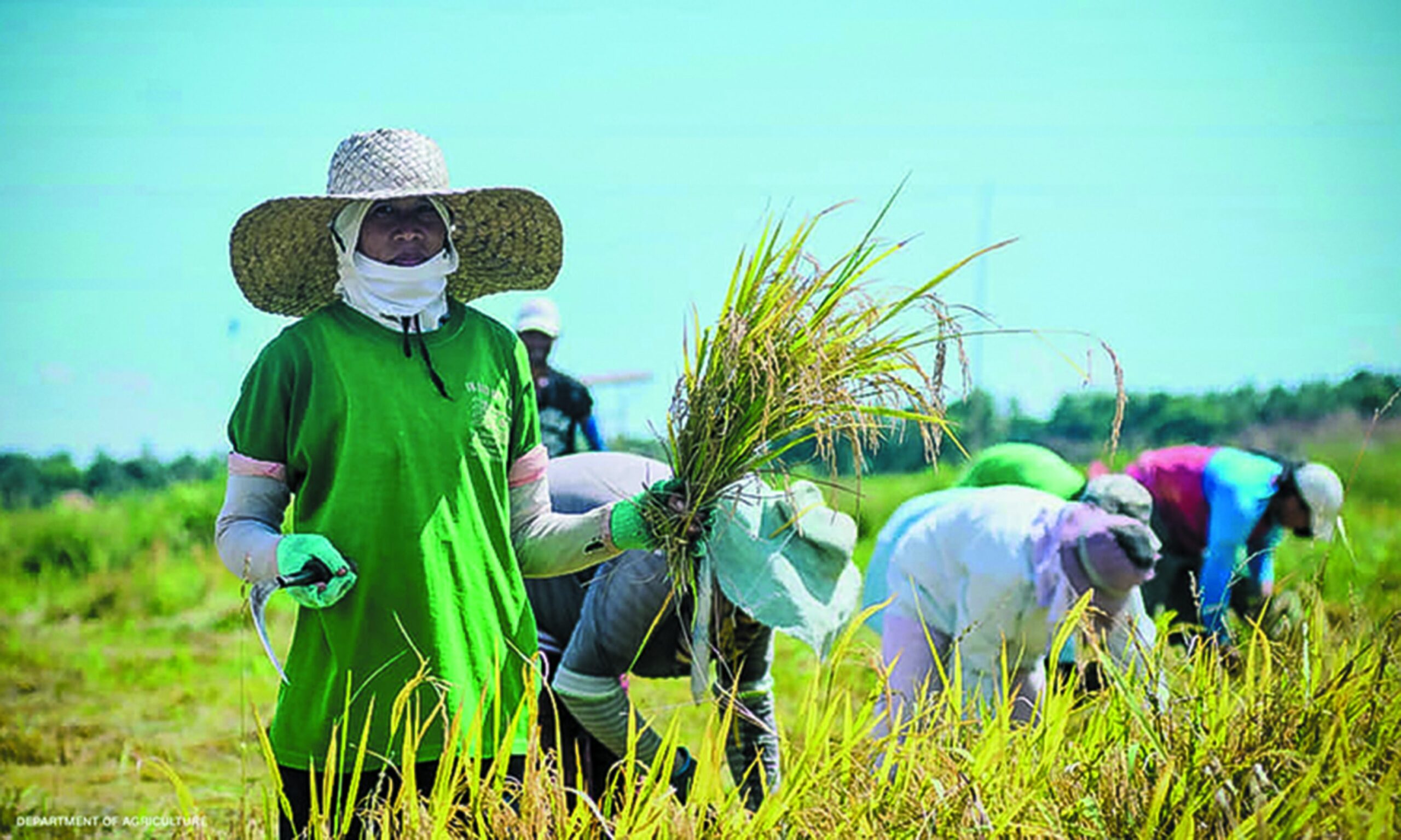 RICE-FARMERS-3000x1800 - Bulong-Bulungan